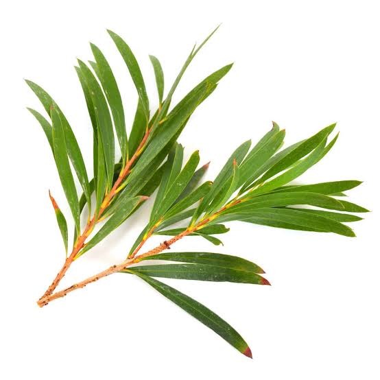 Anti-Dandruff Scalp Concentrate