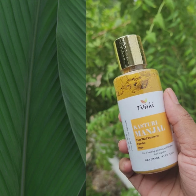 Kasturi Manjal Powder 50 gms - Tvishi Skincare